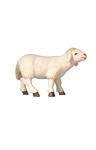 Schaf stehend, schauend Nr. 261