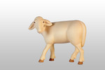Schaf stehend gedrückt Kniend  Nr. 13